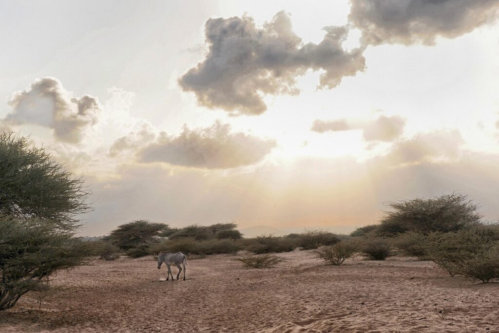 Visum till Djibouti? 🇩🇯 (2025)