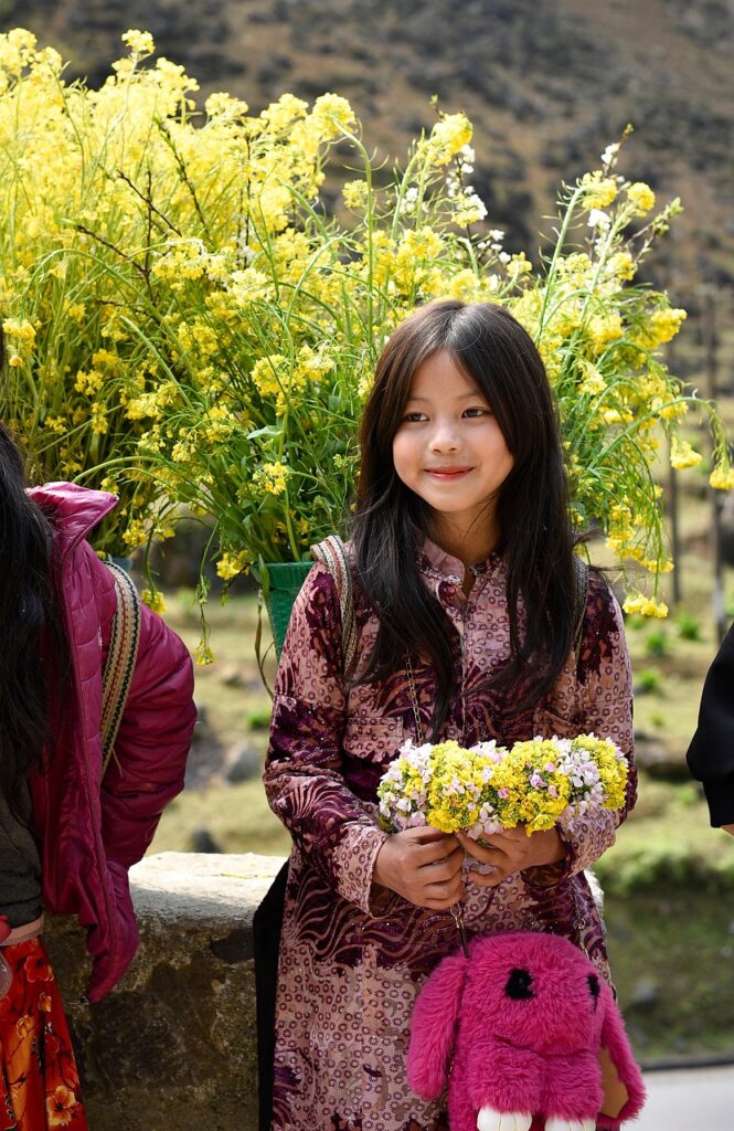 Visum till Vietnam? 🇻🇳 (2025)