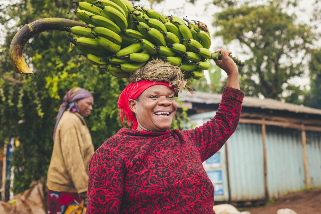 Visum till Tanzania? 🇹🇿 (2025)