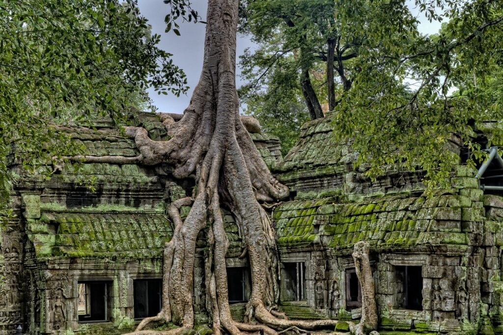 Behöver man visum till Kambodja? 🇰🇭 (2025)