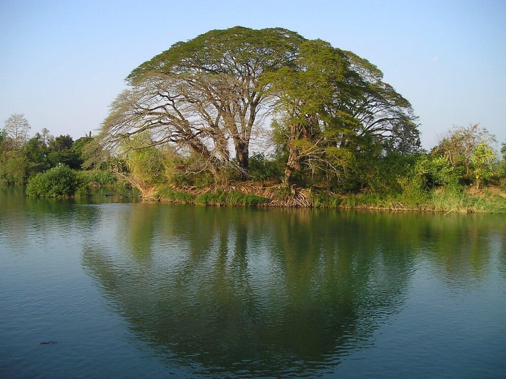 Behöver man visum till Laos? 🇱🇦 (2025)
